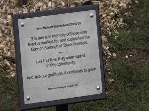 plaque below new trees which reads: 'This tree is in memory of those who lived in, worked for, and supported the London Borough of Tower Hamlets. Like this tree, they were rooted in the community. And, like our gratitude, it continues to grow.