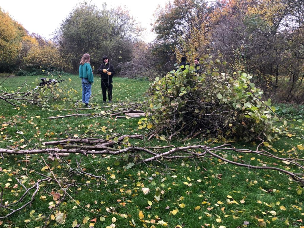 Two women work together to cut branches. Logs are lying on the grass around them.